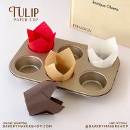 TulipWeb.jpg